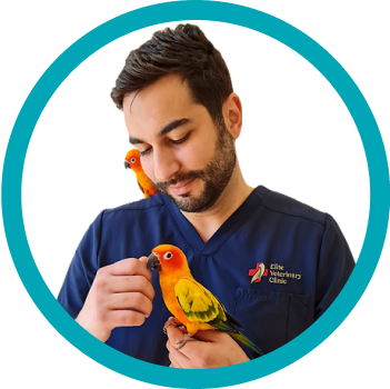 Dr. Octávio Lisboa