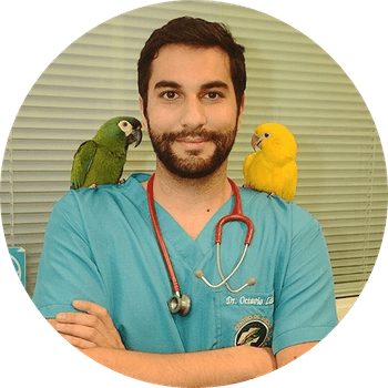 Dr. Octávio Lisboa