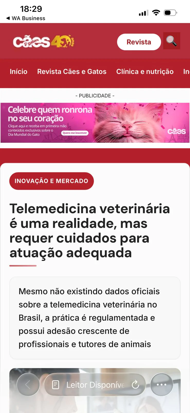 Atendimento por telemedicina