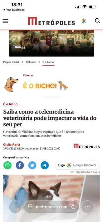 Atendimento por telemedicina